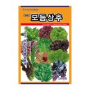 씨앗 - 남양주시 덕소로116번길 11 | 씨앗
