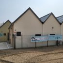 에스테르 독스 케어 하우스 이미지