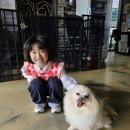 으르렁애견카페 이미지