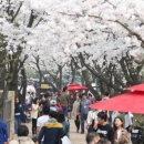 의왕시청 이미지