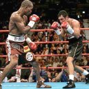 스타일복싱 이미지