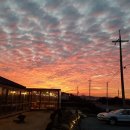 제주돌고래공인중개사사무소 이미지