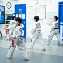 용인대석사백인태권도장 이미지