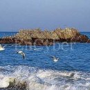 문무도장 이미지