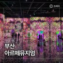 해양로1 | 부산 실내 미디어아트 전시관 아르떼뮤지엄 4세아이와 주말 방문 후기｜영도 피아크