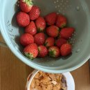 2610 | 2610. 진해여자 고등학교 생기부