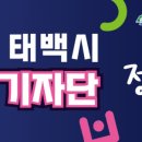 인투캣츠 이미지