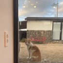 말깡거리 이미지