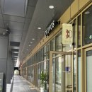 보스안경원 | [역삼동안경, 언주역안경]오비보스 OVIVOS 강남 안경원 추천