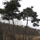 보두농장 이미지