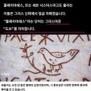 노아의 비둘기와 플레이아데스의 연결고리 🕊️ 이미지