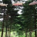 척산다방 | 107th 인제자연학교캠핑장+속초&양양 - '13.5.16~19