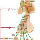 경희채움한의원 이미지