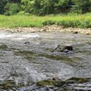 거락마을회관옆 이미지