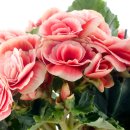 한강성심병원 장례식장 이미지