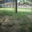 달성공원로 이미지