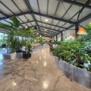 잉꼬농원 | 구리 대형카페 마루빈카페