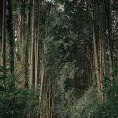 오션뷰제주게스트하우스 이미지