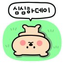 왕십리정부네곱창 - 강릉시 성덕포남로 56 | 왕십리정부네곱창