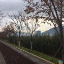 구포고가교 이미지