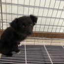 음암면사무소 이미지