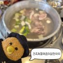 한국보청기 종로5가점 | 종로5가맛집 찾다가 들어갔는데 국물 때문에 또 생각난 진옥화할매원조닭한마리