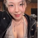 비비라인