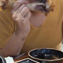 더맛있는족발보쌈청주 이미지