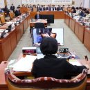 267. 민주 = 본회의만 남은 ‘내란재판부법’ 뒤늦게 의총 논의키로 = ‘졸속 입법’ 논란 이미지