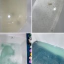 애견미용실 또이쁜댕 이미지