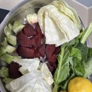 사랑이네 | 사랑이네 라이블리스무디 8개월차 후기 및 만들기(레시피, 명현반응)