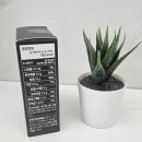 하루 한 알로 가볍게 붓기관리 엘리즈 붓기캔디 리즈캔디 후기