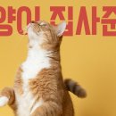 고양이집사 이미지