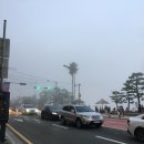 106개러지 | 광안리 피자 맛집 도우개러지 피자 광안점 생생후기