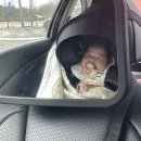 11500-5-38-131 | 3개월 아기 100일 기념 강릉 2박3일 여행코스 공유