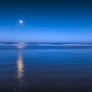 Helen Shapiro - Beyond The Sea (La Mer) 이미지