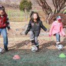 유림초교 이미지