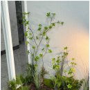 달리살롱 이미지