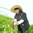 김제상회 이미지