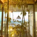 테라스마크 이미지