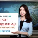 나무마케팅 이미지