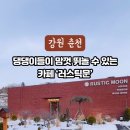 러스틱문 이미지