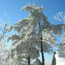 발산2리 마을회관 이미지
