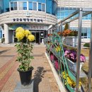 벌교읍행정복지센터 이미지