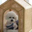 애견하우스 이미지