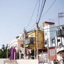 게으른고양이 이미지