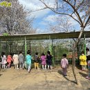 동일자연어린이집 이미지