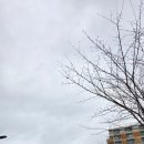 휴먼시아7단지아파트 704동 앞 | 양주 고읍동 휴먼시아7단지 도어락 이전 설치 후기