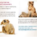 블리스풀