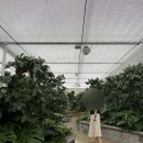 화순축산업협동조합(도곡생축장) | [화순] 도곡 로컬푸드 스파트팜 '도란도란' 다녀온 후기(상추씨앗구매)